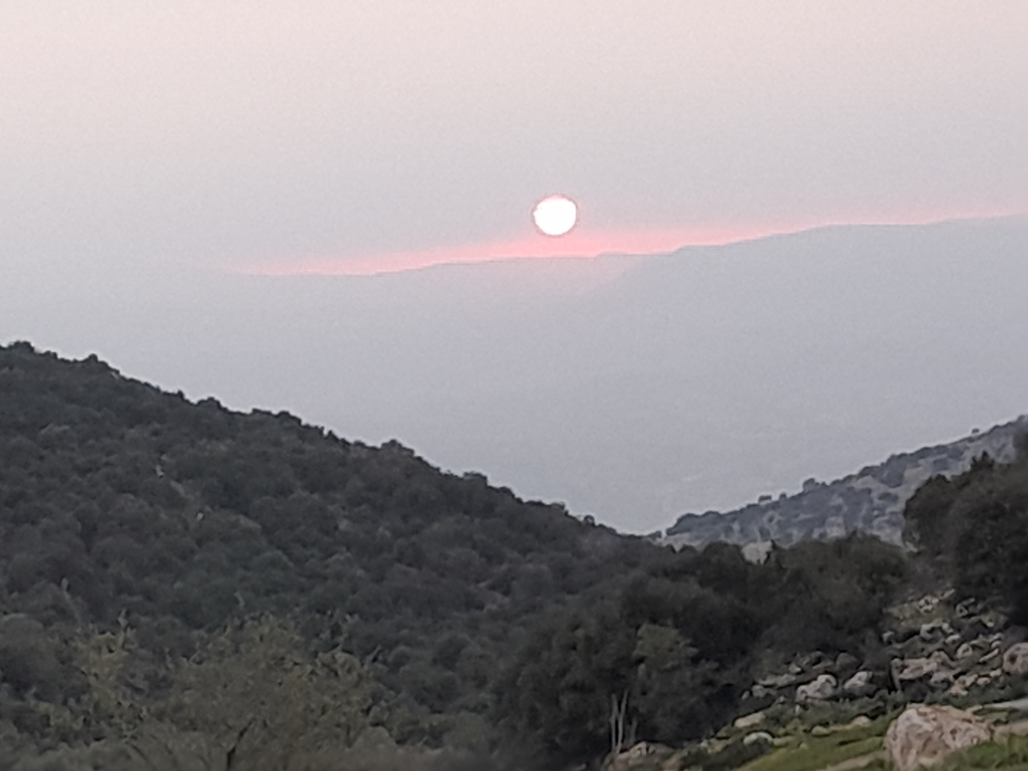 بين الشرق والغرب