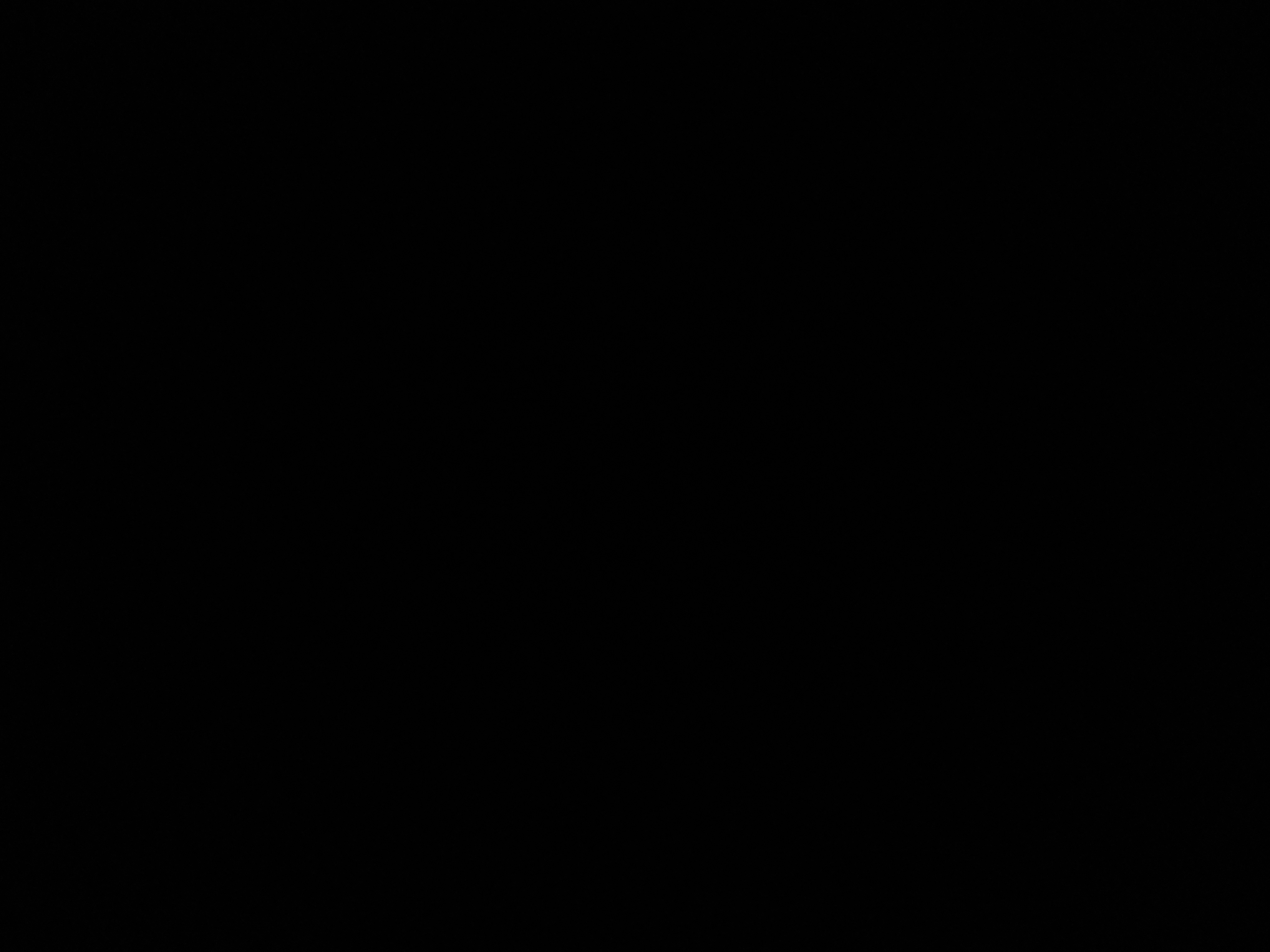 ابوي