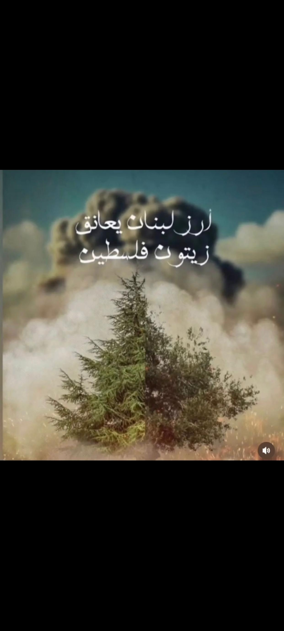 Walaa Zghoul