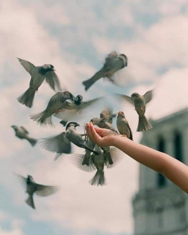 أحمد محمد أحمد الردايده